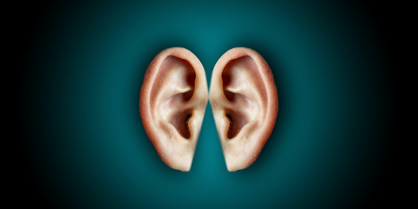 Por qué es importante el oído